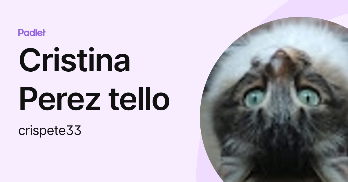 Cristina Perez tello (crispete33) profile | Padlet