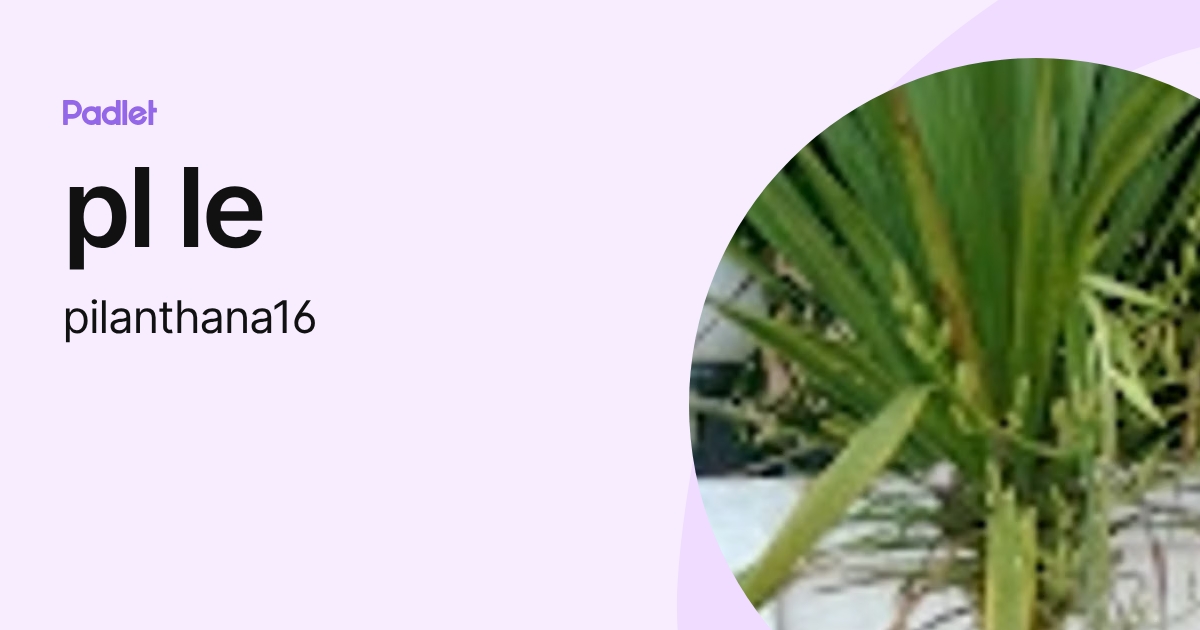 pl le (pilanthana16) profile | Padlet