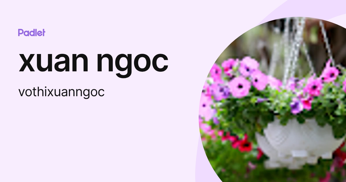 xuan ngoc (vothixuanngoc) profile | Padlet