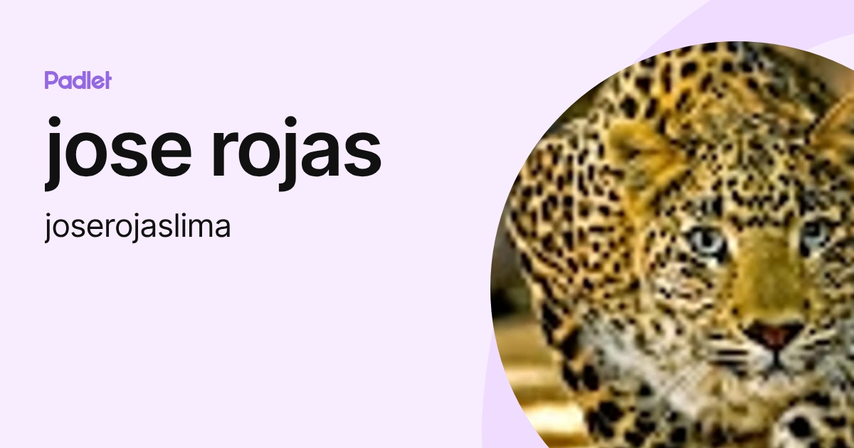 jose rojas (joserojaslima) profile | Padlet