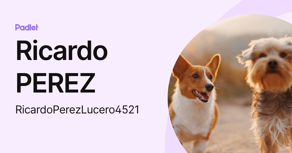 Ricardo PEREZ (RicardoPerezLucero4521) profile | Padlet