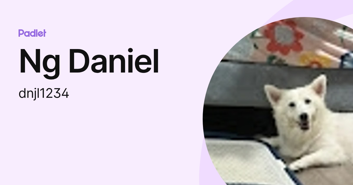 Ng Daniel (dnjl1234) profile | Padlet