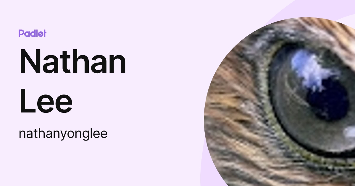 Nathan Lee (nathanyonglee) profile | Padlet