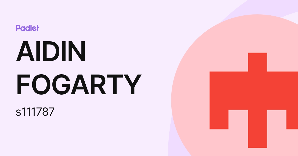 AIDIN FOGARTY (s111787) profile | Padlet