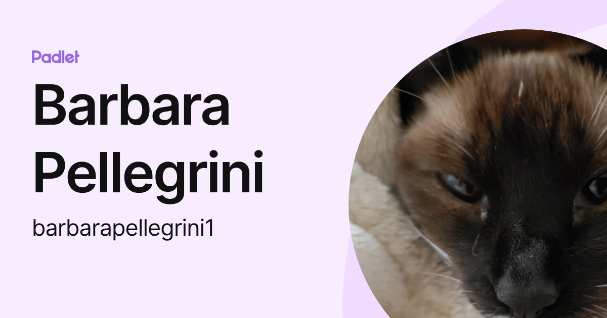 Barbara Pellegrini (barbarapellegrini1) profile | Padlet