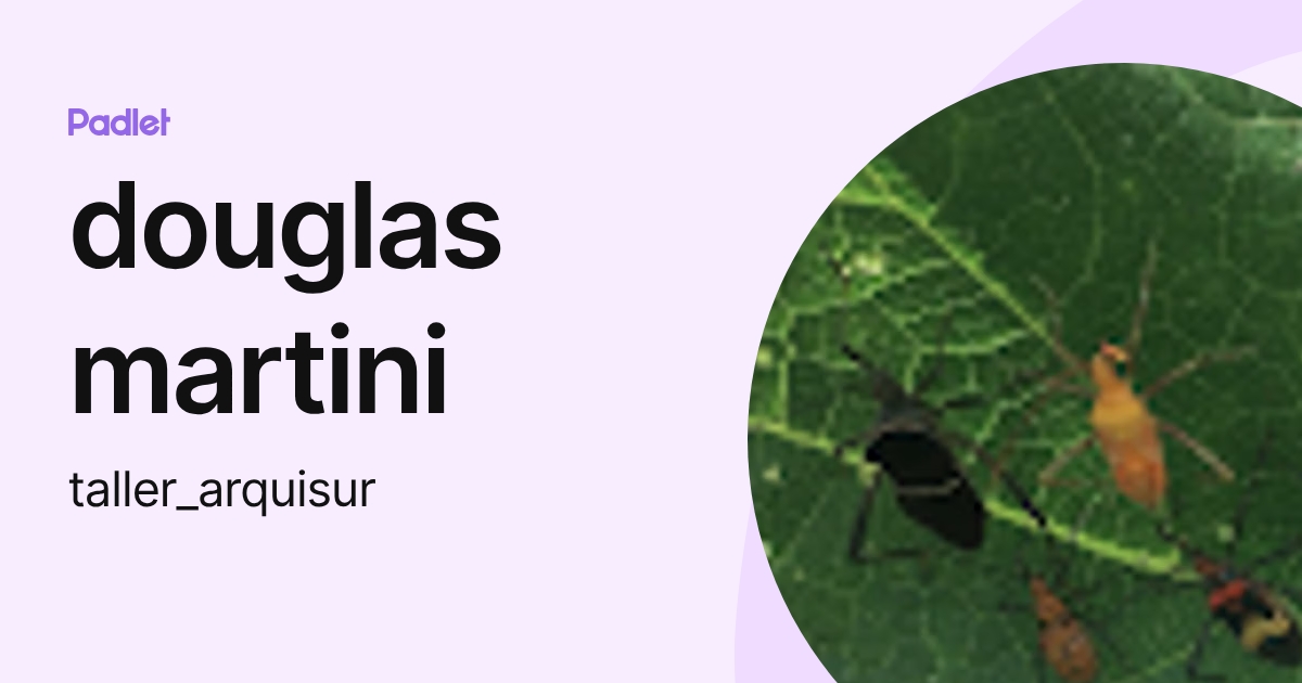 douglas martini (taller_arquisur) profile | Padlet