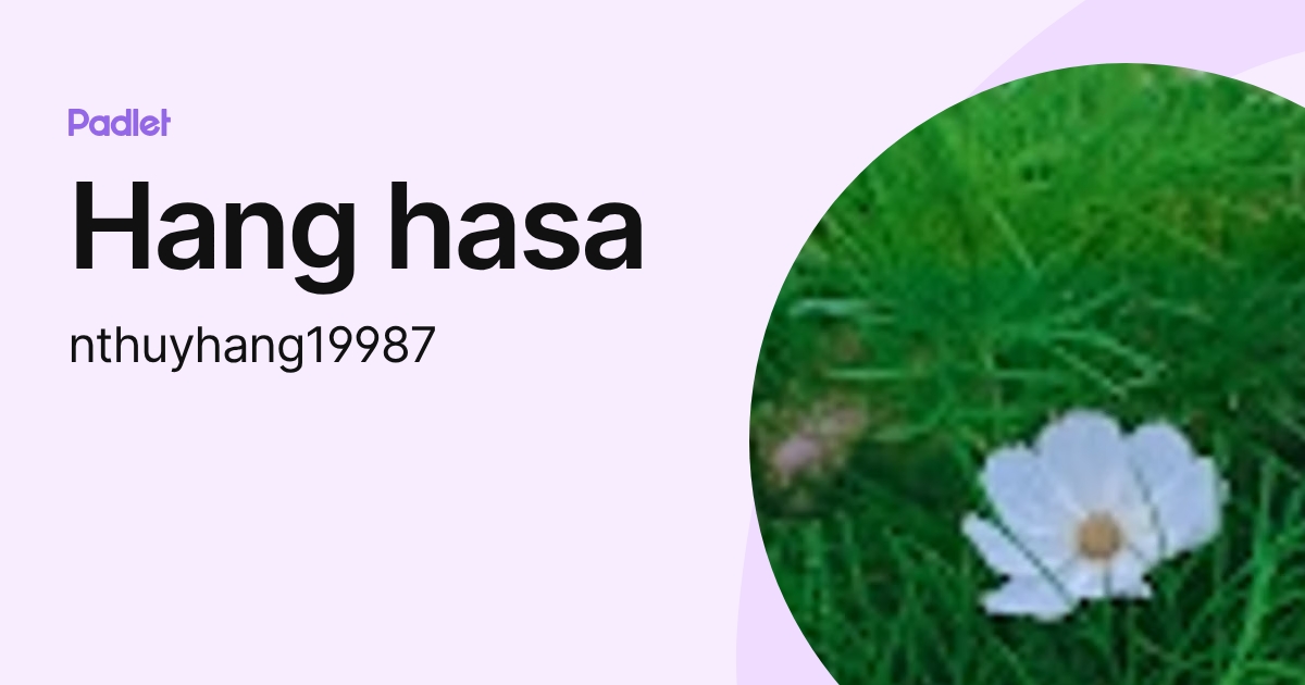 Hang hasa (nthuyhang19987) profile | Padlet