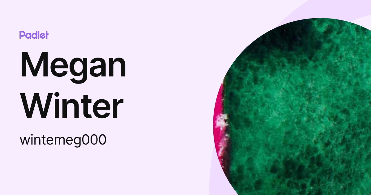 Megan Winter (wintemeg000) profile | Padlet