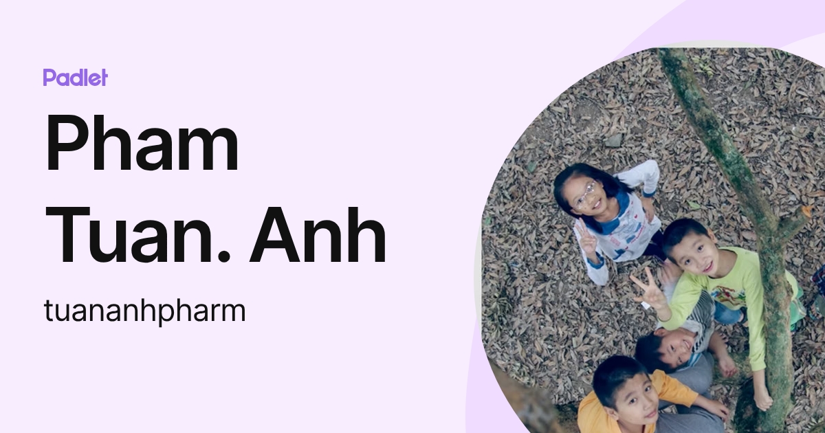 Pham Tuan. Anh (tuananhpharm) profile | Padlet