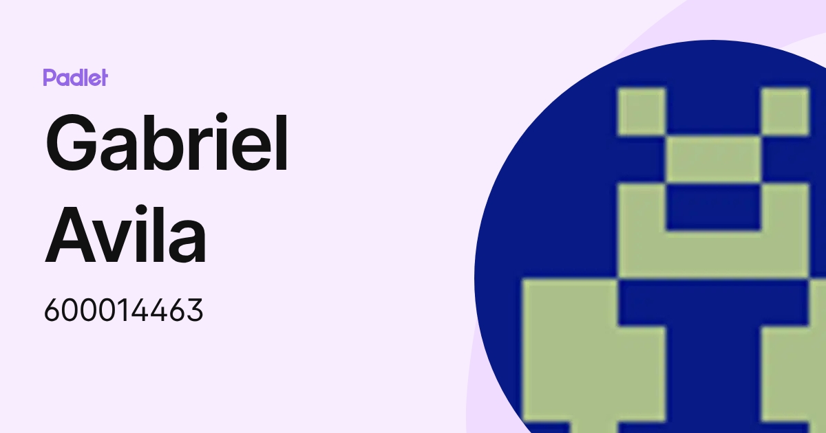 Gabriel Avila (600014463) profile | Padlet