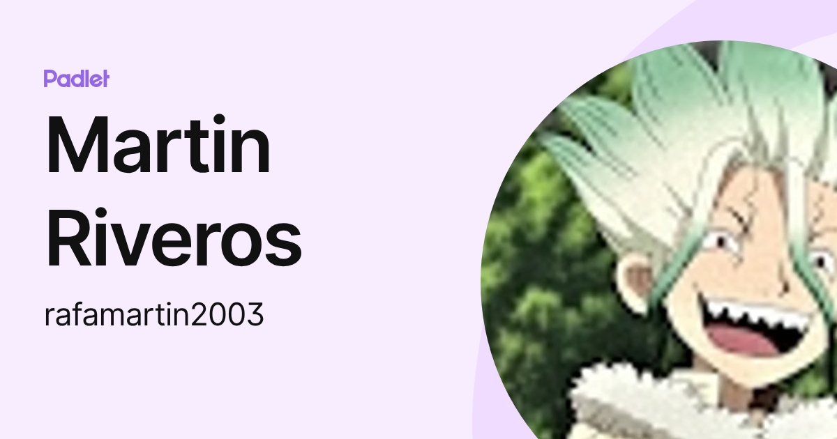 Martin Riveros (rafamartin2003) profile | Padlet