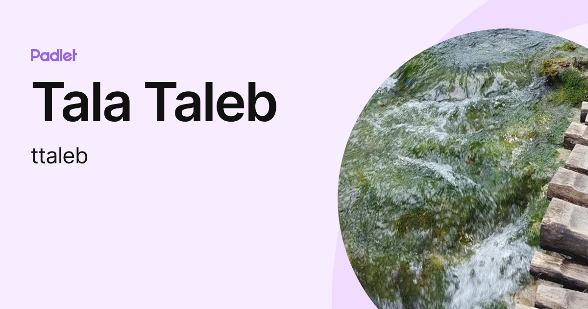 Talaeb Tala Taleb (ttaleb) profile | Padlet