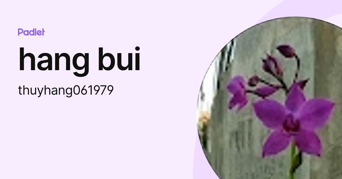 hang bui (thuyhang061979) profile | Padlet