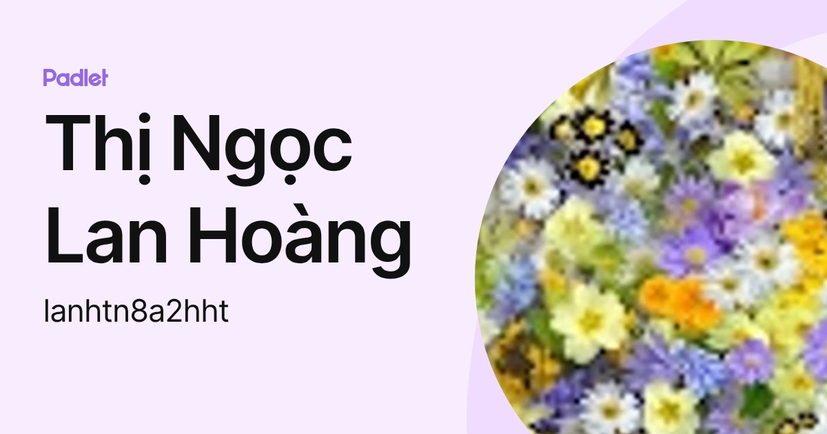 Thị Ngọc Lan Hoàng (lanhtn8a2hht) profile | Padlet