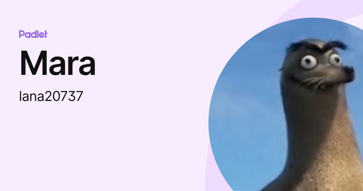 Mara (lana20737) profile | Padlet