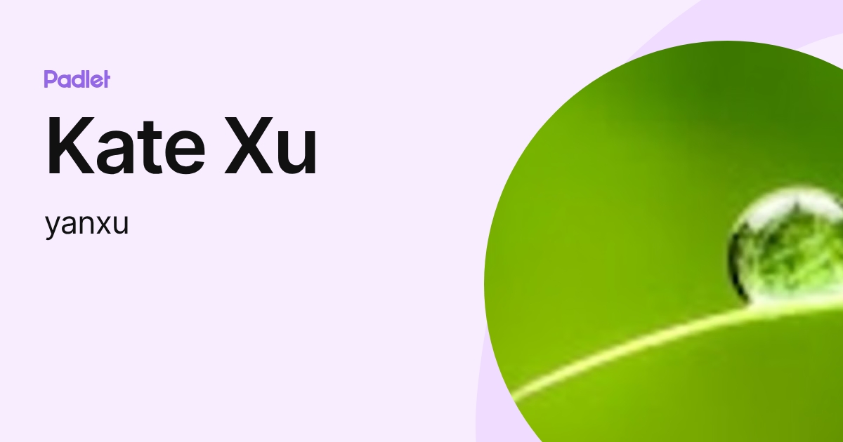 Kate Xu (yanxu) profile | Padlet