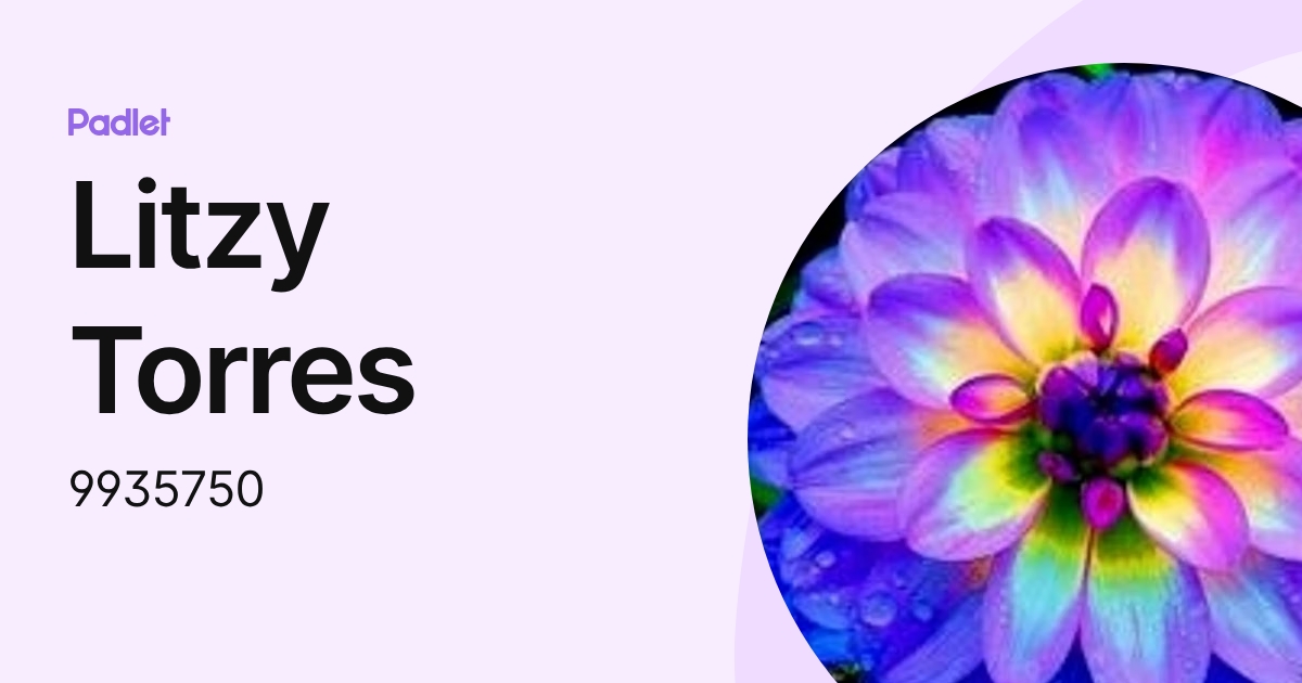 Litzy Torres (9935750) profile | Padlet