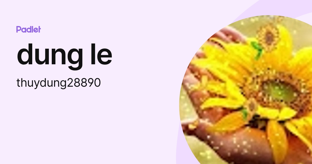 dung le (thuydung28890) profile | Padlet