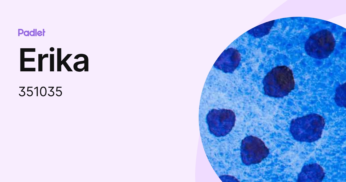 Erika (351035) profile | Padlet