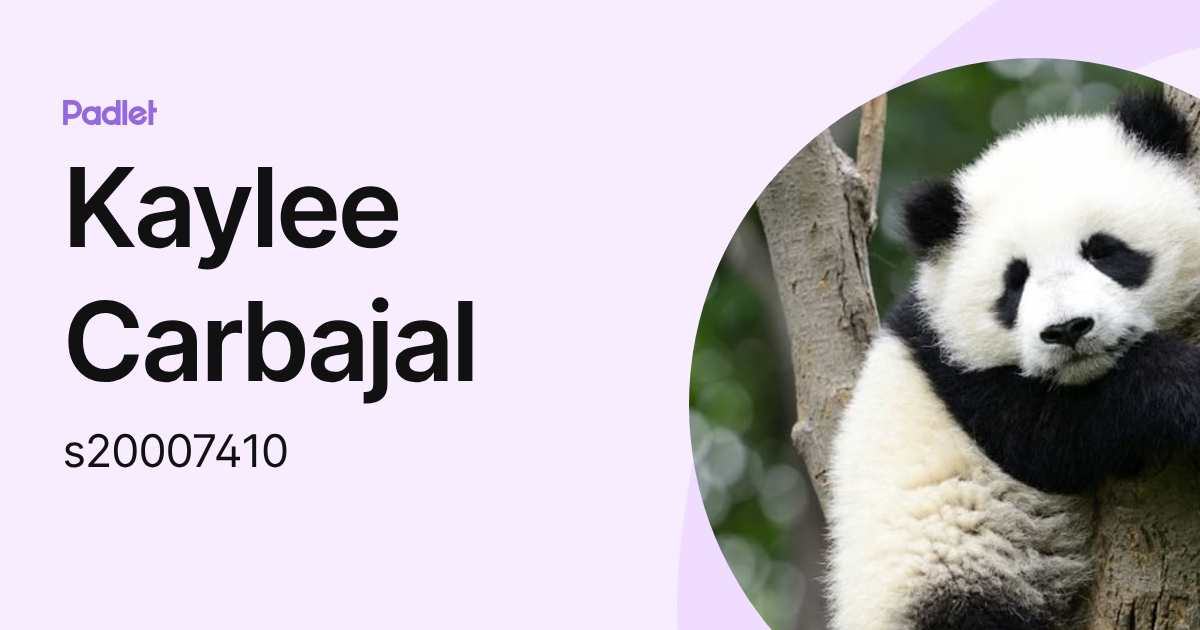 Kaylee Carbajal (s20007410) profile | Padlet