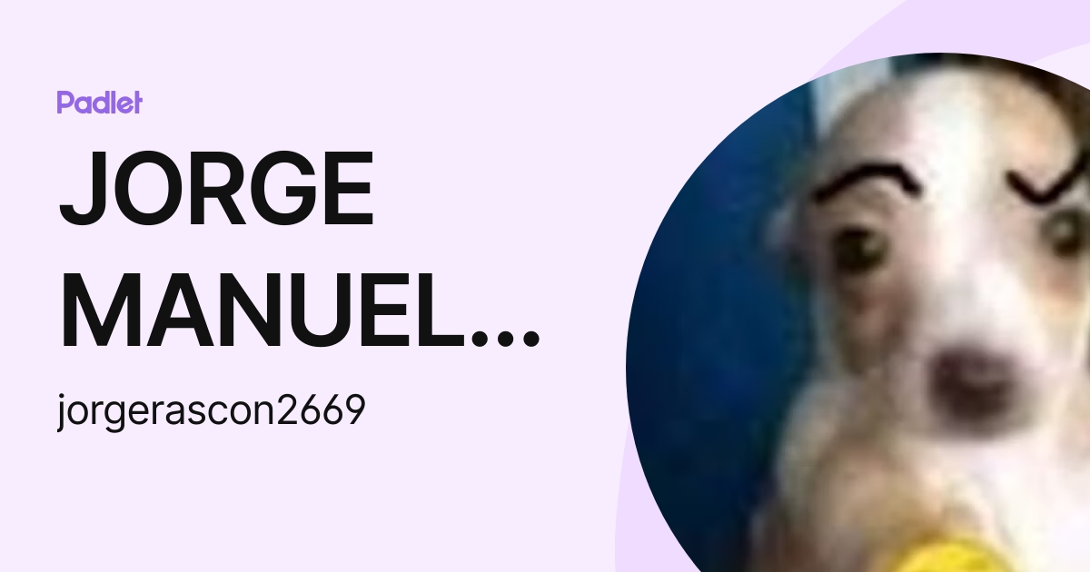 JORGE MANUEL RASCON MENDEZ (jorgerascon2669) profile | Padlet