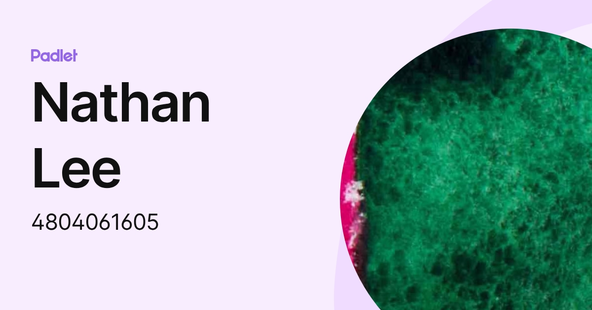 Nathan Lee (4804061605) profile | Padlet