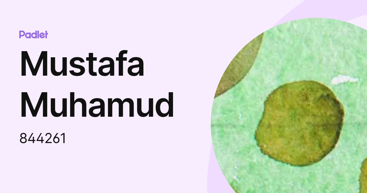 Mustafa Muhamud (844261) profile | Padlet