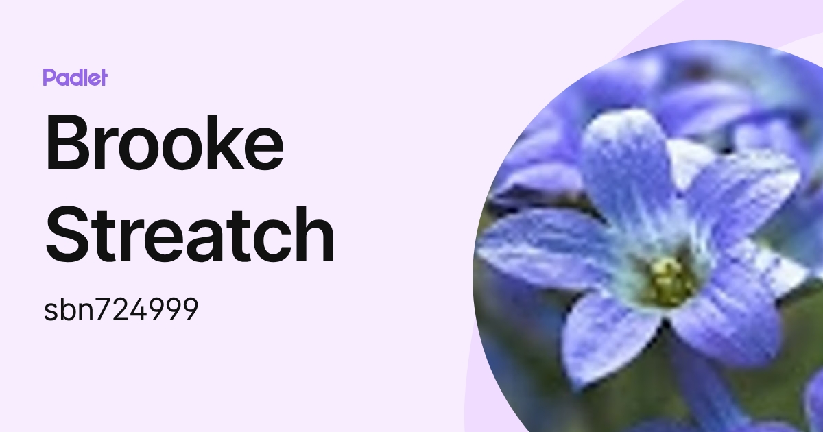Brooke Streatch (sbn724999) profile | Padlet