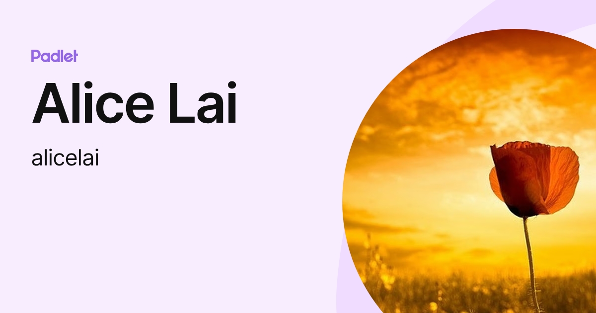 Alice Lai (alicelai) profile | Padlet