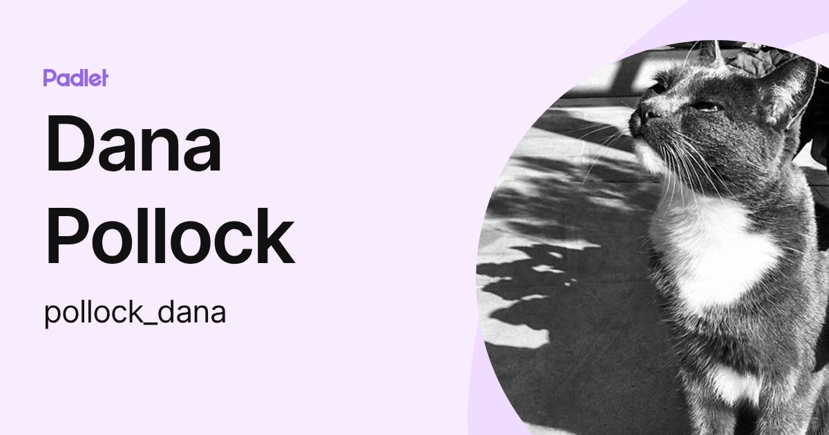 Dana Pollock (pollock_dana) profile | Padlet