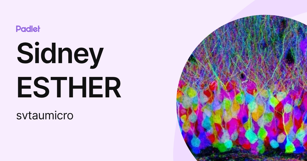 Sidney ESTHER (svtaumicro) profile | Padlet