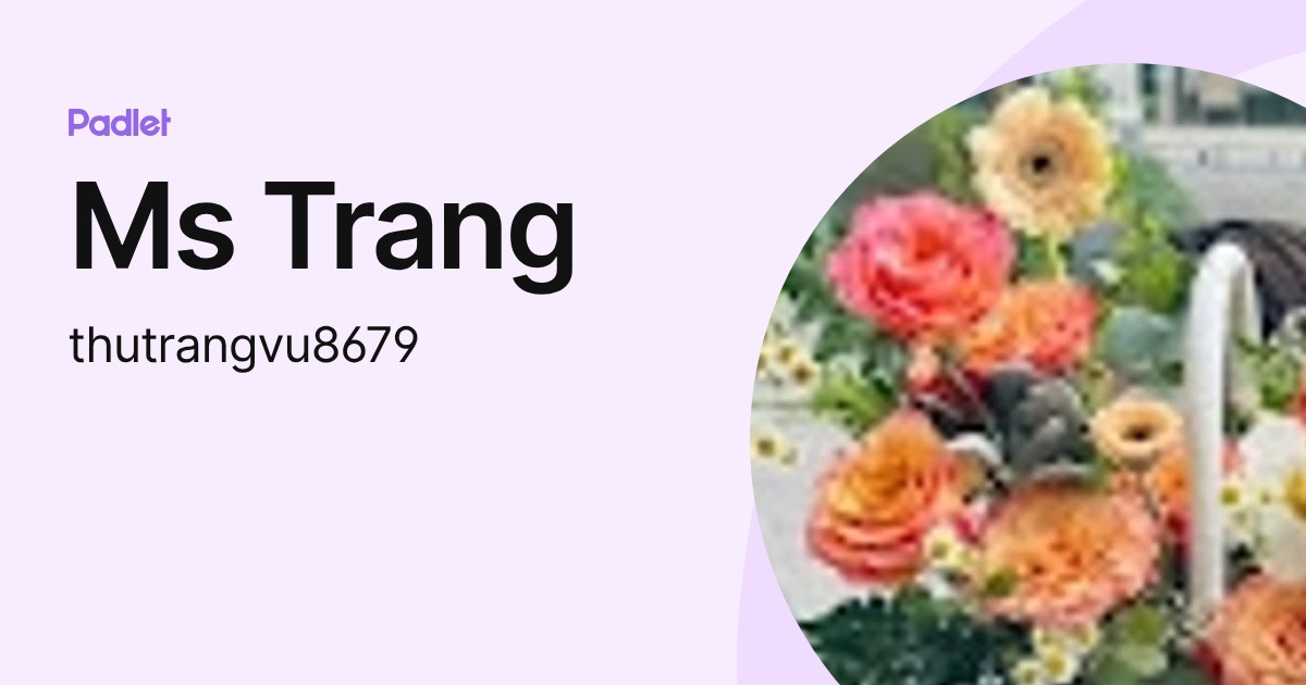 Ms Trang (thutrangvu8679) profile | Padlet