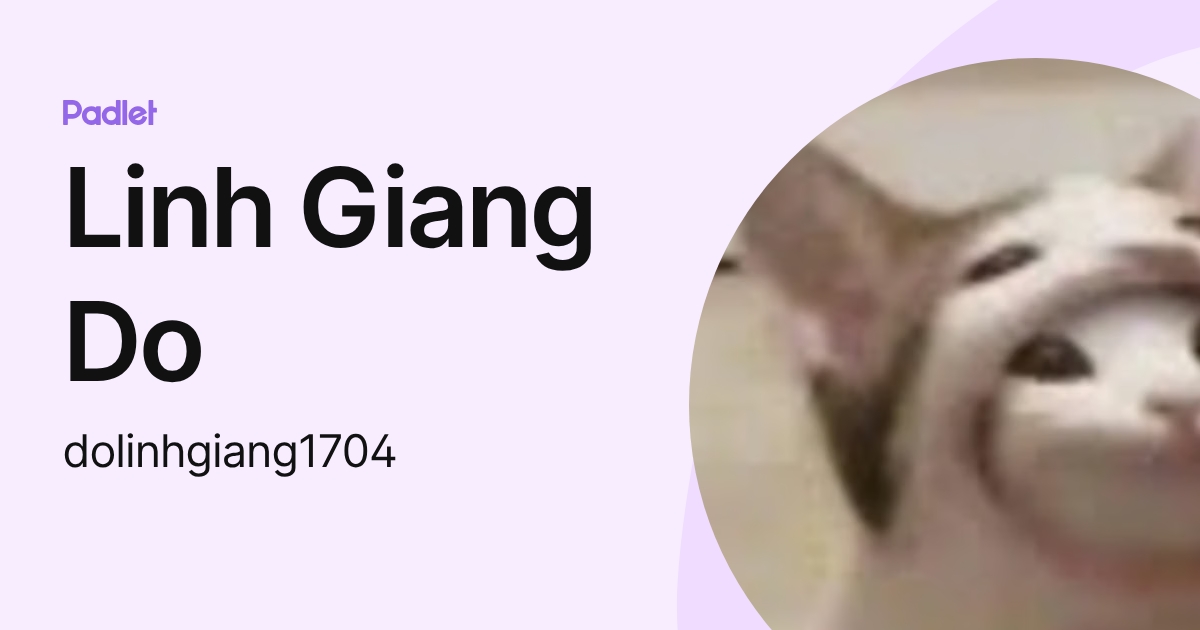 Linh Giang Do (dolinhgiang1704) profile | Padlet