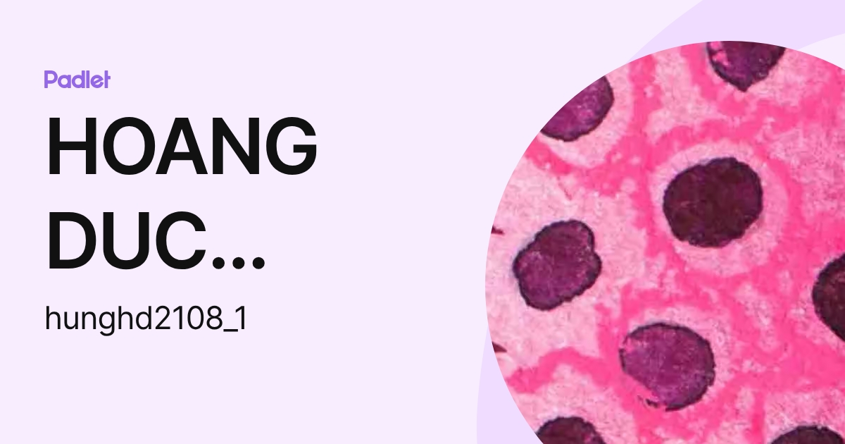 HOANG DUC HUNG (hunghd1) profile | Padlet