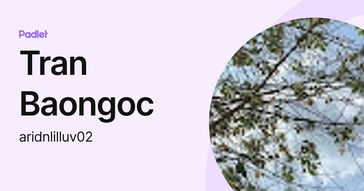 Tran Baongoc (aridnlilluv02) profile | Padlet