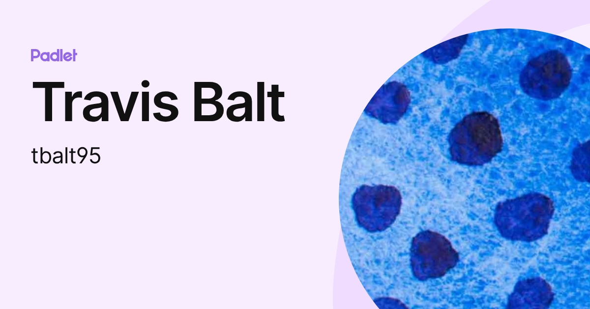 Travis Balt (tbalt95) profile | Padlet