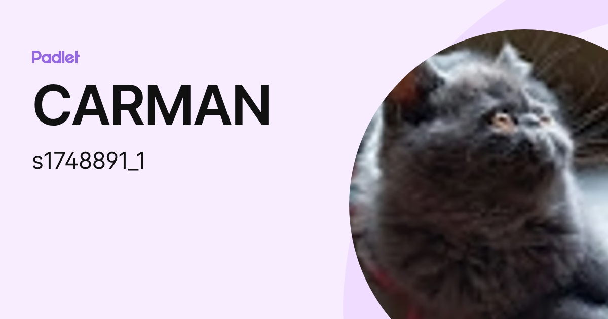 CARMAN (s1748891_1) profile | Padlet