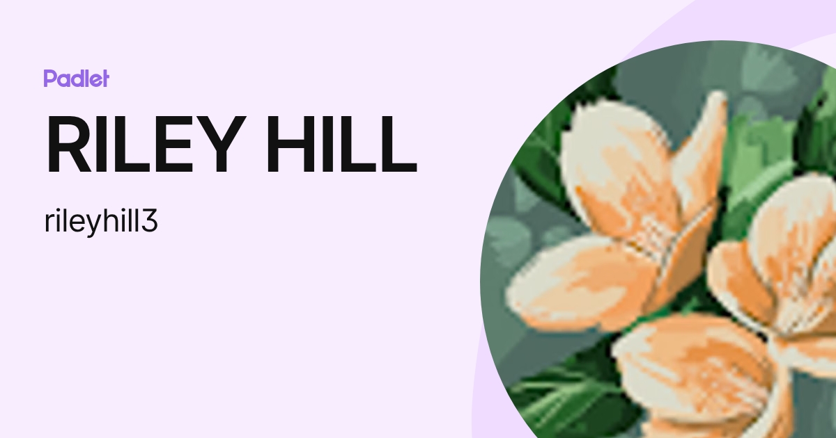 RILEY HILL (rileyhill3) profile | Padlet