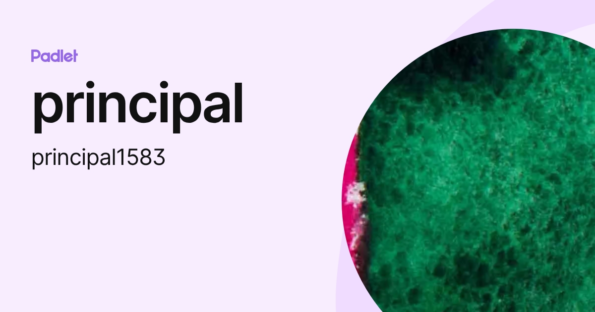 principal (principal1583) profile | Padlet
