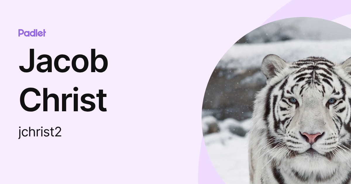 Jacob Christ (jchrist2) profile | Padlet
