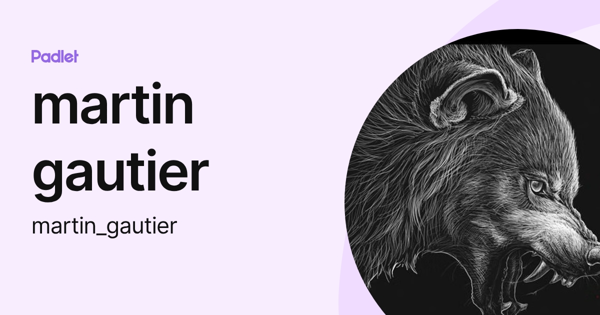 martin gautier (martin_gautier) profile | Padlet