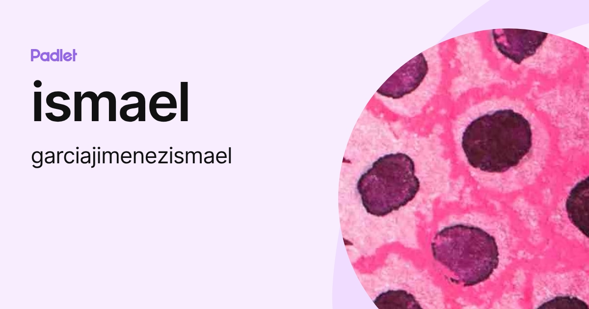 ismael (garciajimenezismael) profile | Padlet
