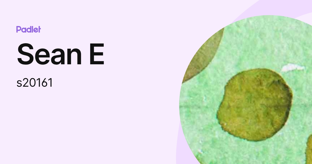 Sean E (s20161) profile | Padlet
