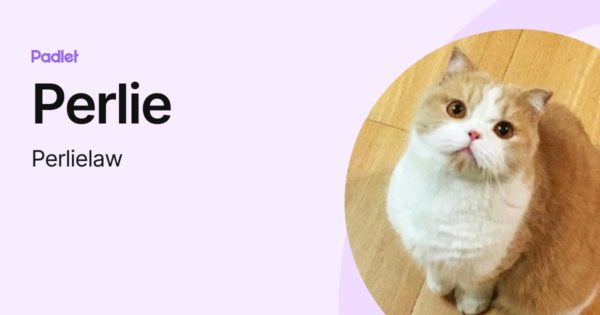Perlie (Perlielaw) profile | Padlet