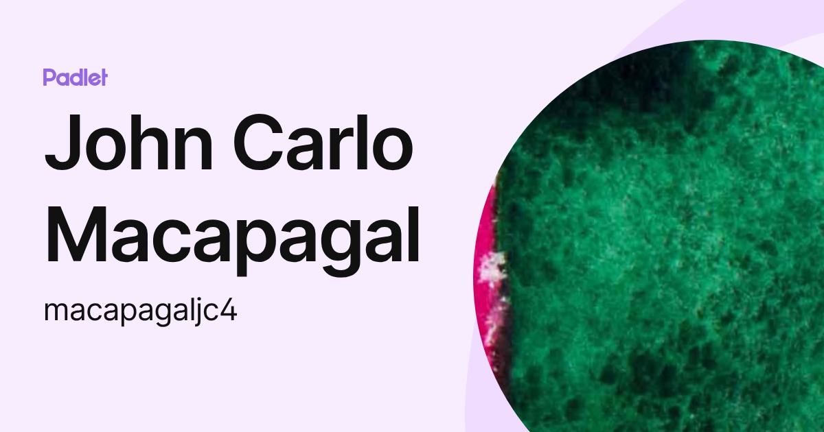 John Carlo Macapagal (macapagaljc4) profile | Padlet