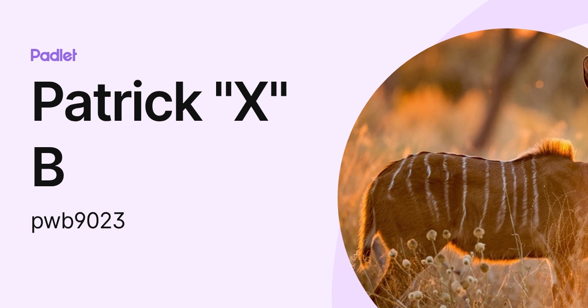 Patrick "X" B (pwb9023) profile | Padlet