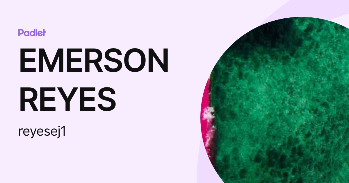 EMERSON REYES (reyesej1) profile | Padlet