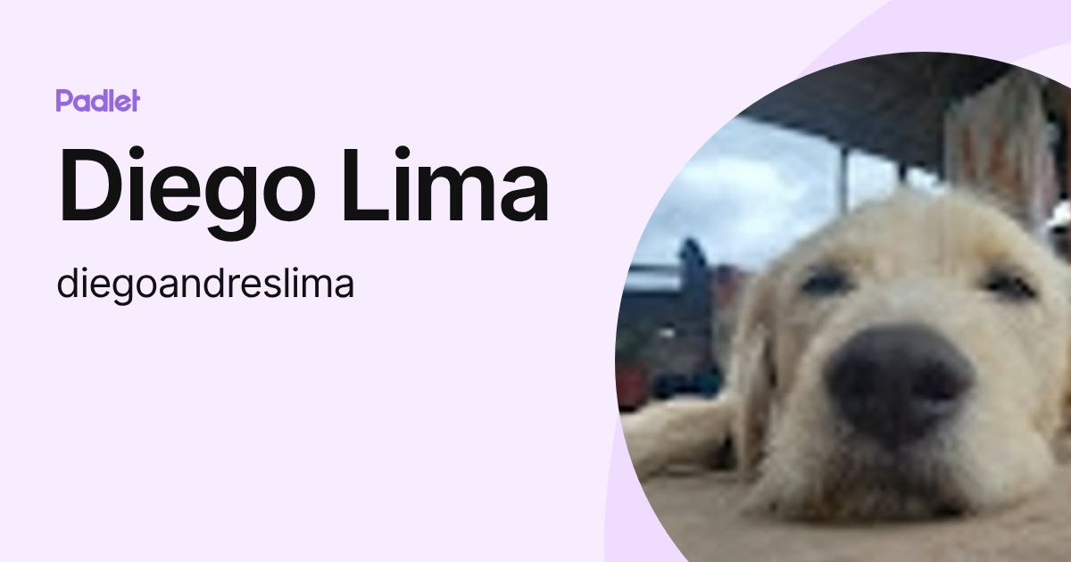 Diego Lima (diegoandreslima) profile | Padlet