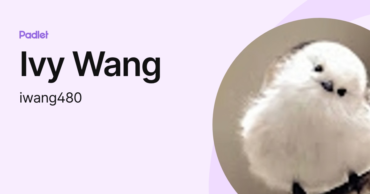 Ivy Wang (iwang480) profile | Padlet