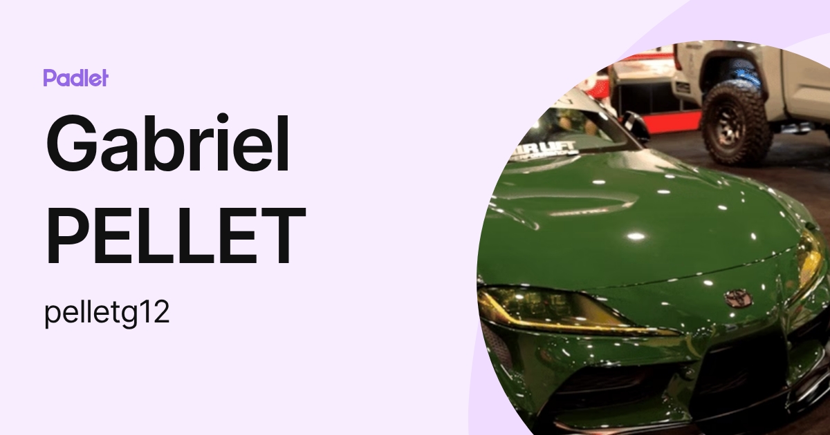 Gabriel PELLET (pelletg12) profile | Padlet